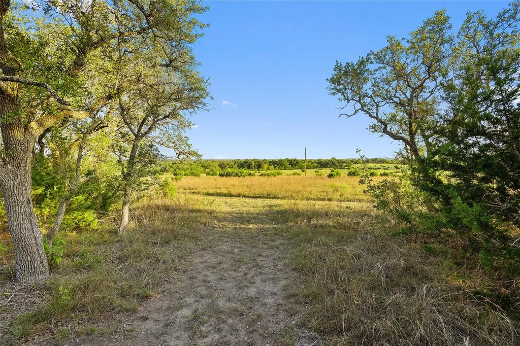 370 Gray Wolf Blanco TX 78606
