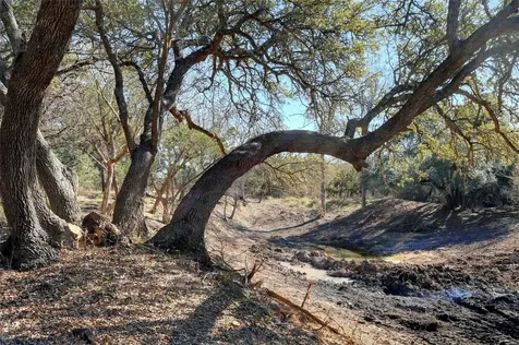 Lot A Ranch Road 165 Road Blanco TX 78606