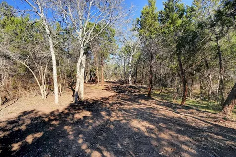 Lot A Ranch Road 165 Road Blanco TX 78606