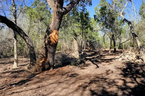 Lot A Ranch Road 165 Road Blanco TX 78606