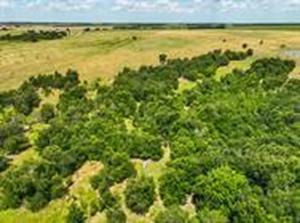 Tract 8 County Road 419 Taylor TX 76574