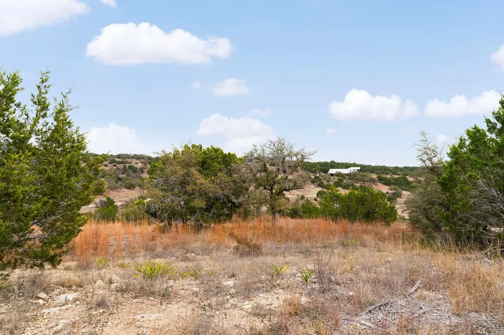 21406 Kathy Lane Spicewood TX 78669