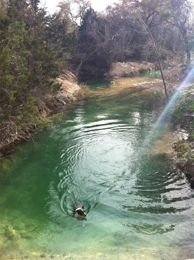 8170 N Us Hwy 281 Highway Blanco TX 78606