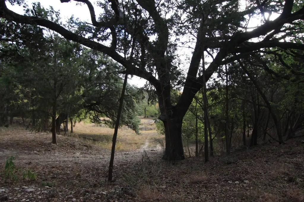 8170 N Us Hwy 281 Highway Blanco TX 78606