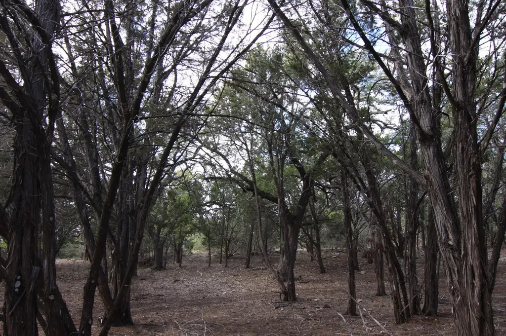 8170 N Us Hwy 281 Highway Blanco TX 78606