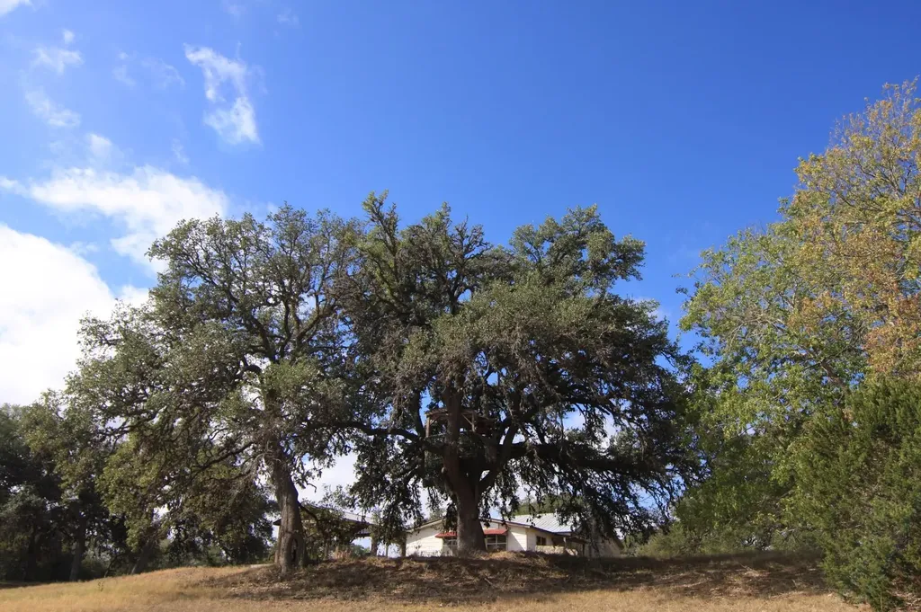 8170 N Us Hwy 281 Highway Blanco TX 78606