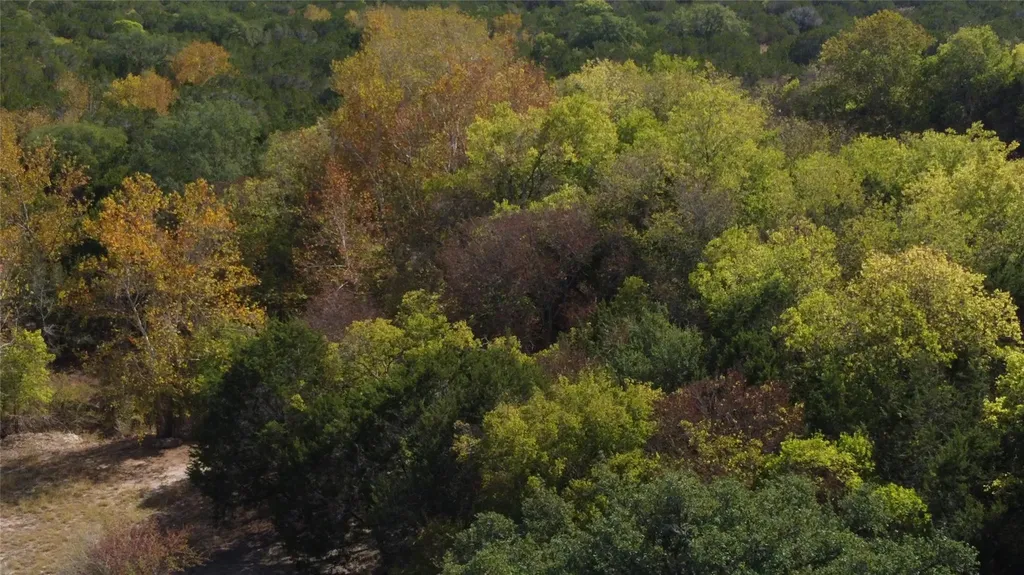 8170 N Us Hwy 281 Highway Blanco TX 78606
