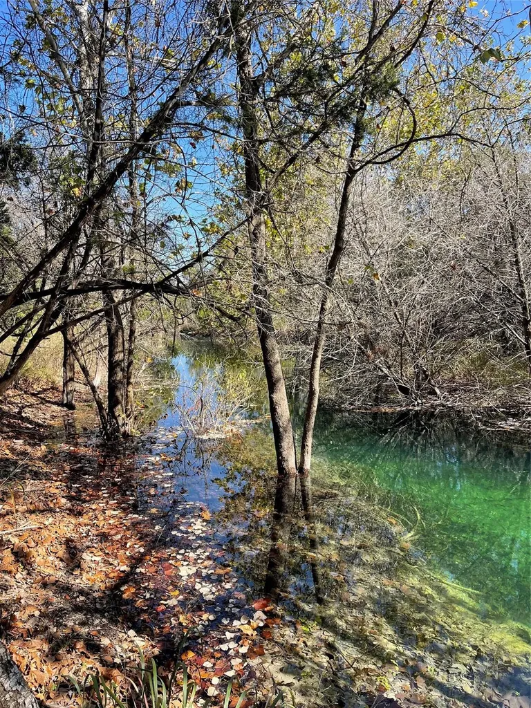8170 N Us Hwy 281 Highway Blanco TX 78606