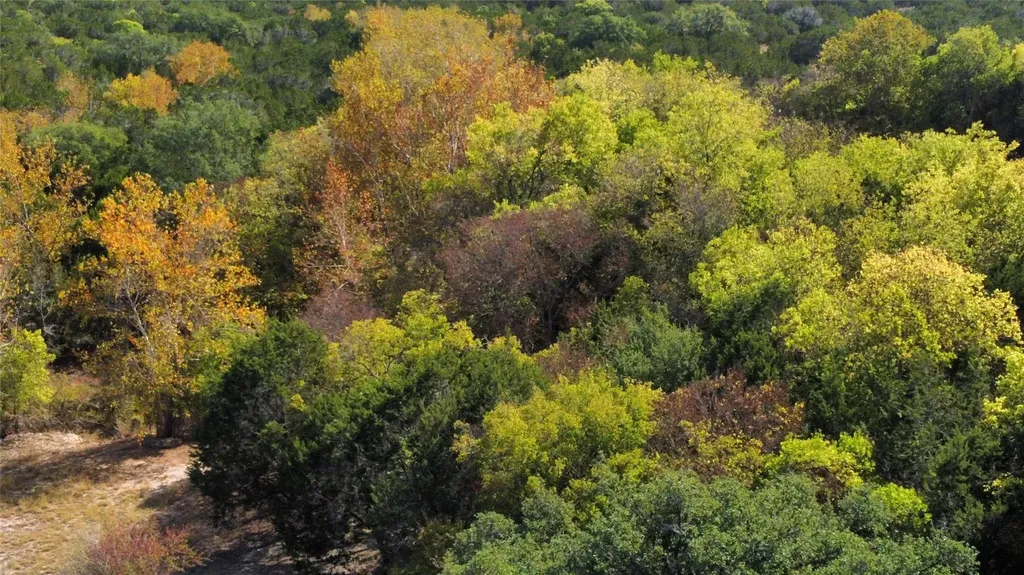 8170 N Us Hwy 281 Highway Blanco TX 78606