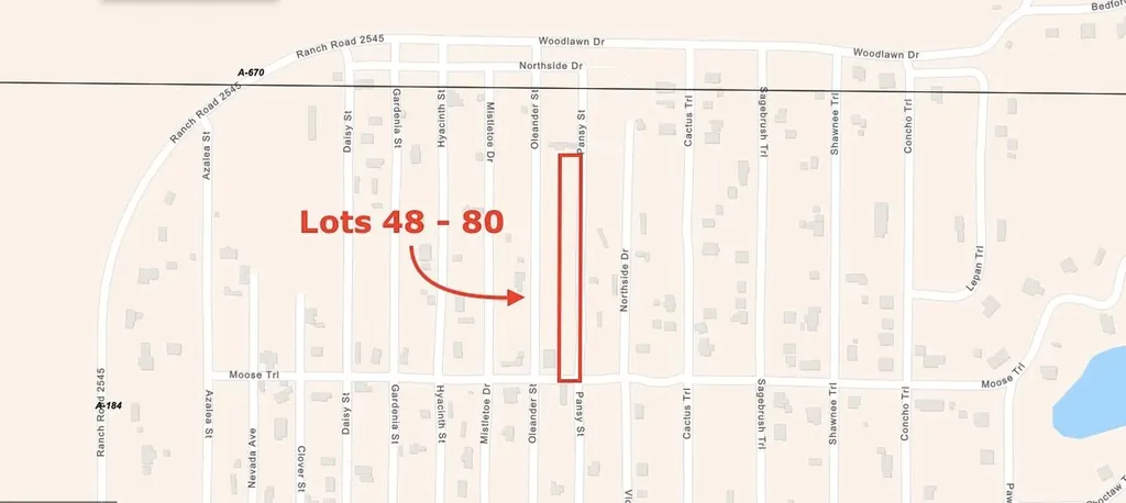 Lots 48-80 Pansy Road Kingsland TX 78639