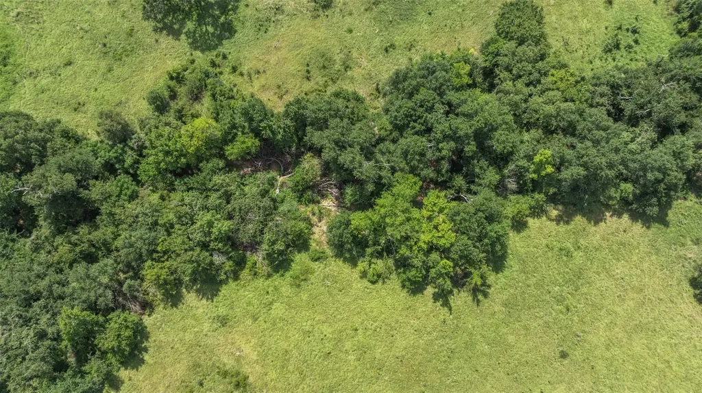 Tbd Cr 707a Groesbeck TX 76653