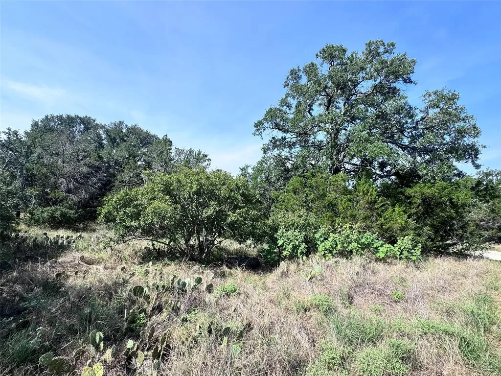 Tbd Hill Street Burnet TX 78611