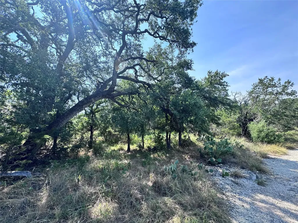 Tbd Hill Street Burnet TX 78611