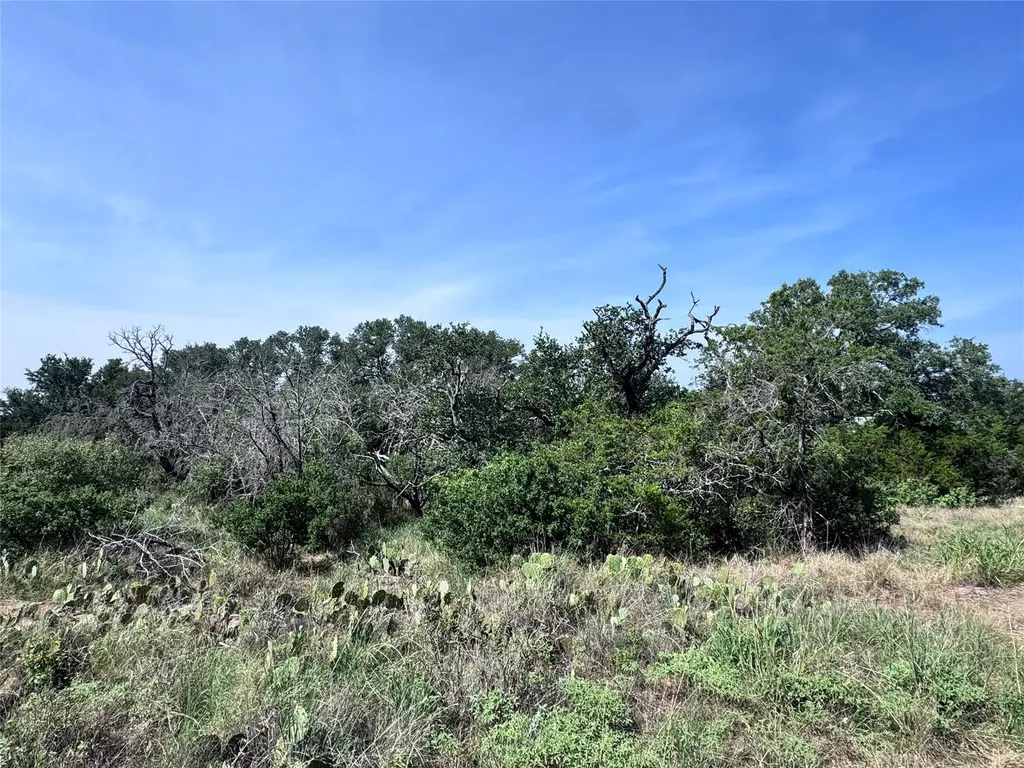 Tbd Hill Street Burnet TX 78611