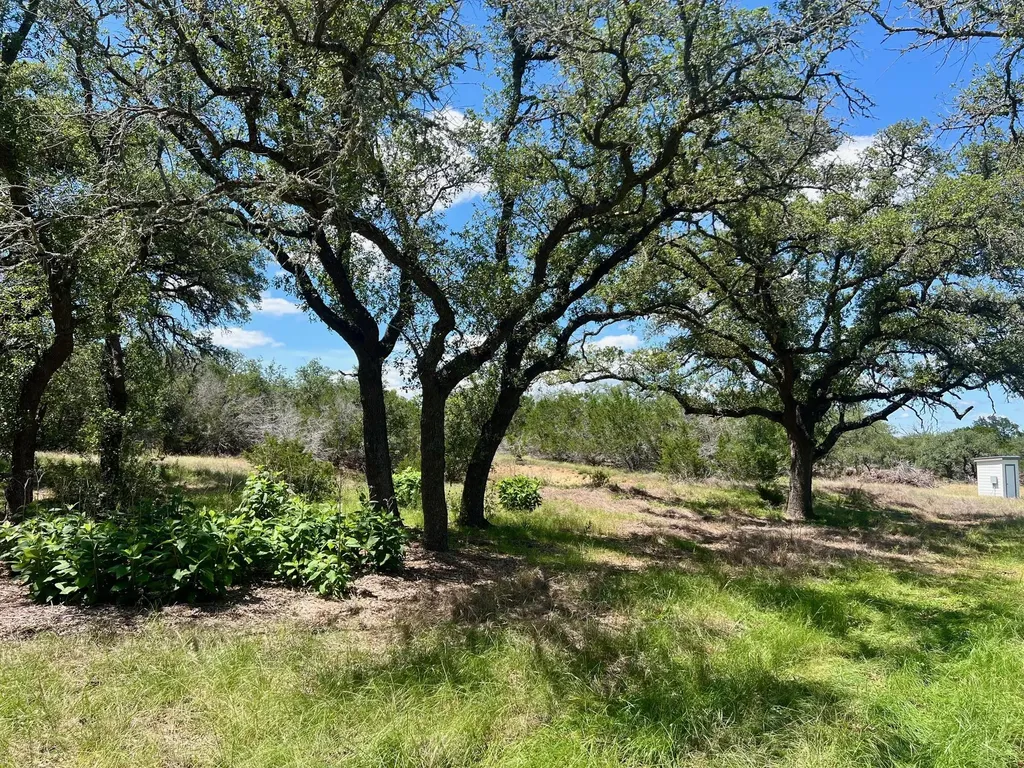 1366 Narrows Road Blanco TX 78606