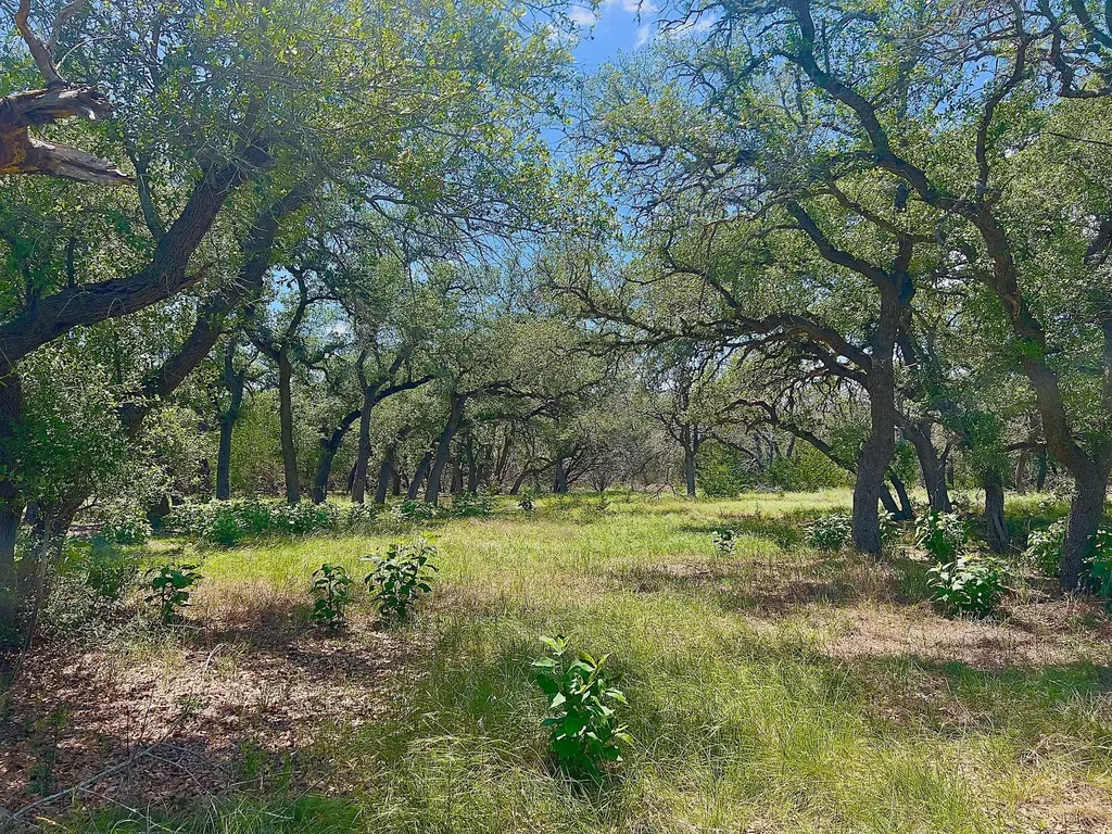 1366 Narrows Road Blanco TX 78606