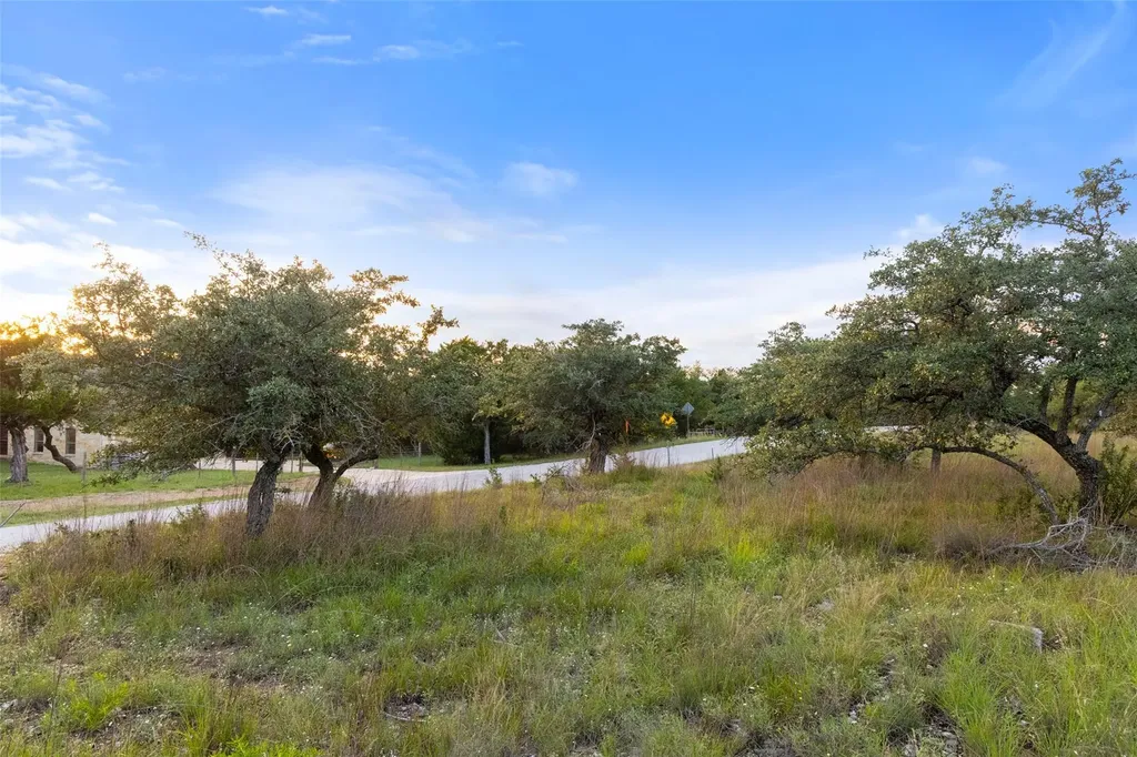 31930 Mirela Ann Road Dripping Springs TX 78620