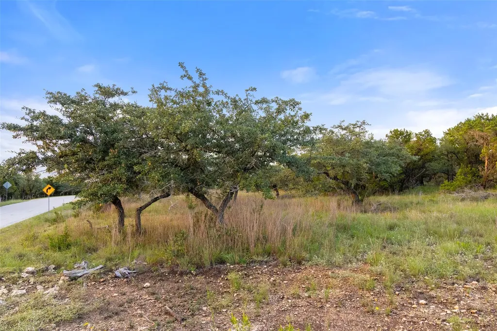 31930 Mirela Ann Road Dripping Springs TX 78620