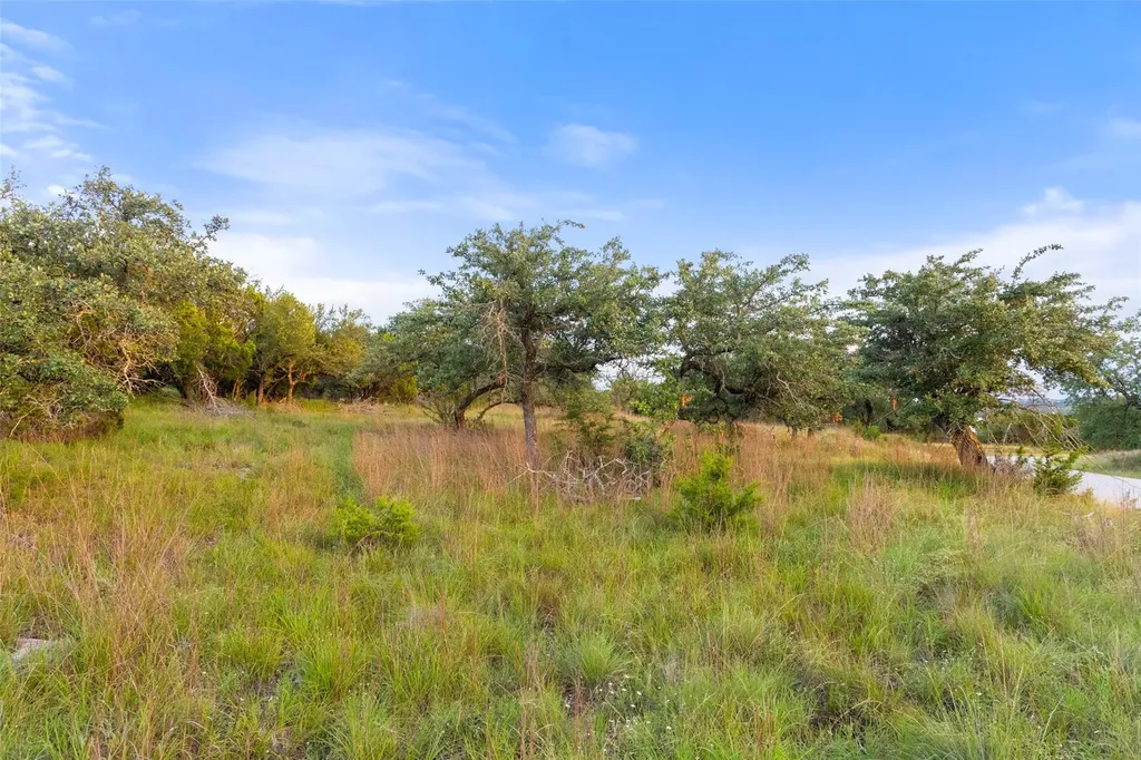 31930 Mirela Ann Road Dripping Springs TX 78620