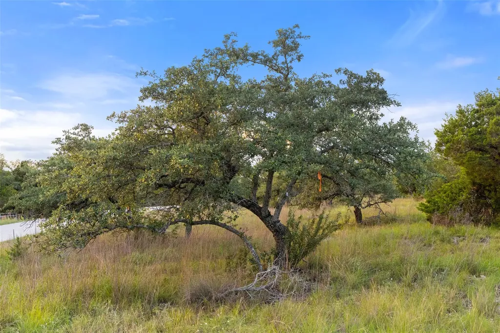 31930 Mirela Ann Road Dripping Springs TX 78620