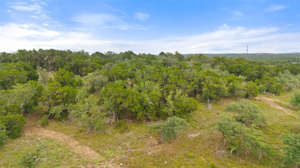 31930 Mirela Ann Road Dripping Springs TX 78620