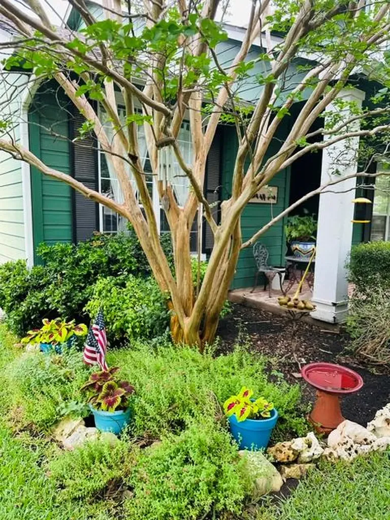 231 Westbury Lane Georgetown TX 78633