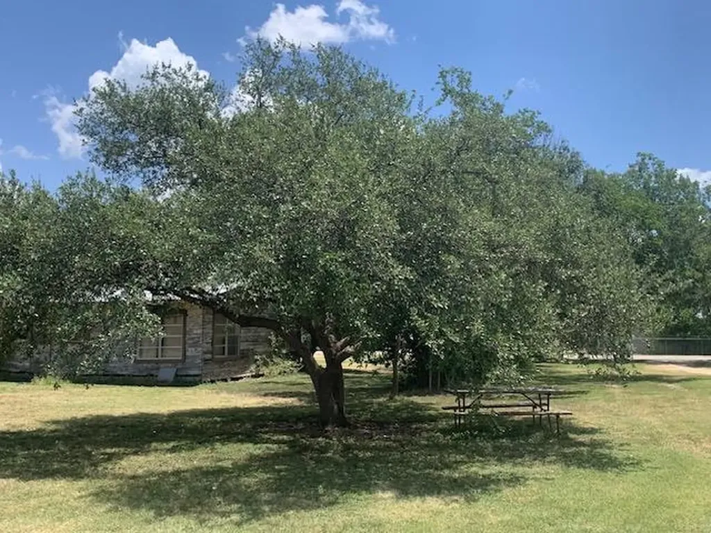 1501 & 1503 N Burleson Street Kyle TX 78640