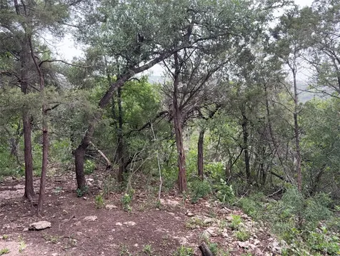 4711 Spicewood Springs Road Austin TX 78759