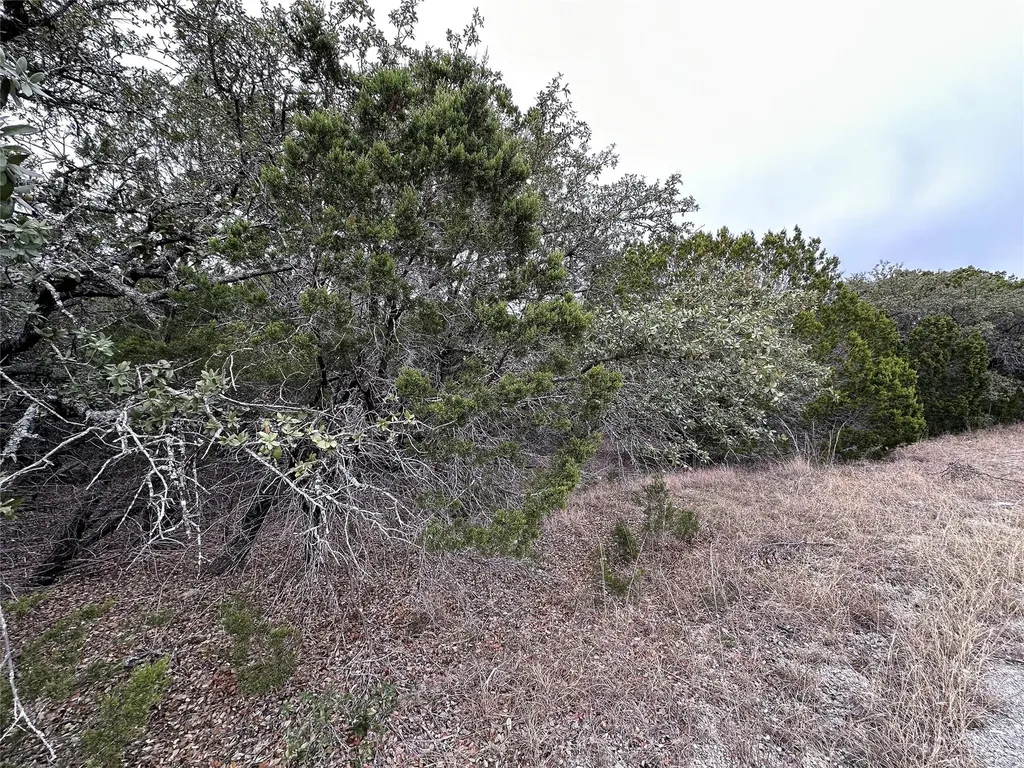 8446 Corral Lane Austin TX 78745