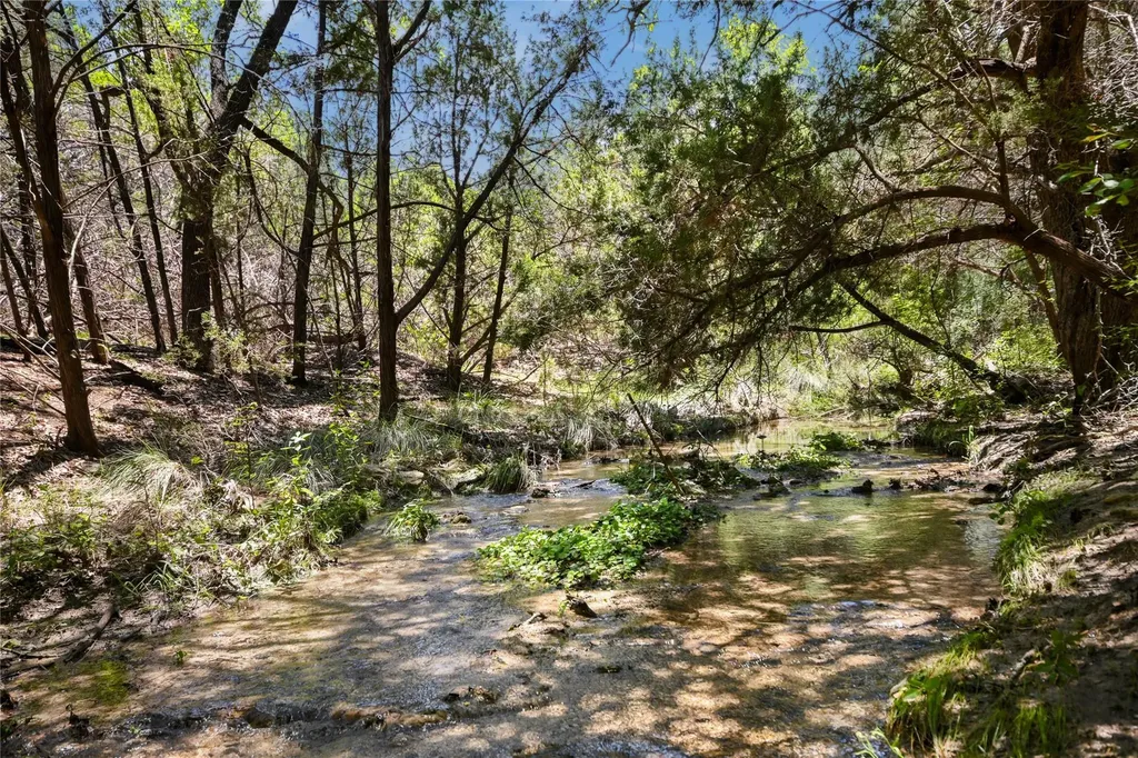 810 Crestone Stream Drive Austin TX 78738