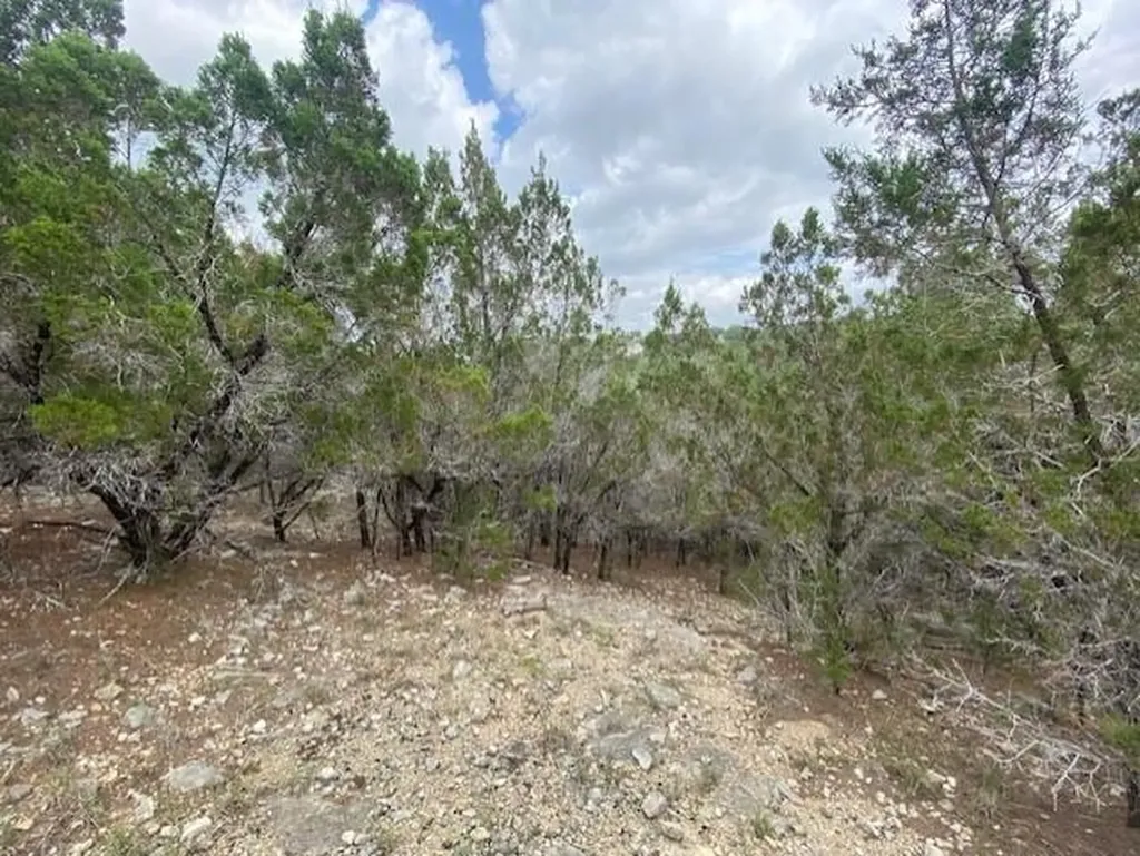 20902 Stone Cliff Drive Lago Vista TX 78645