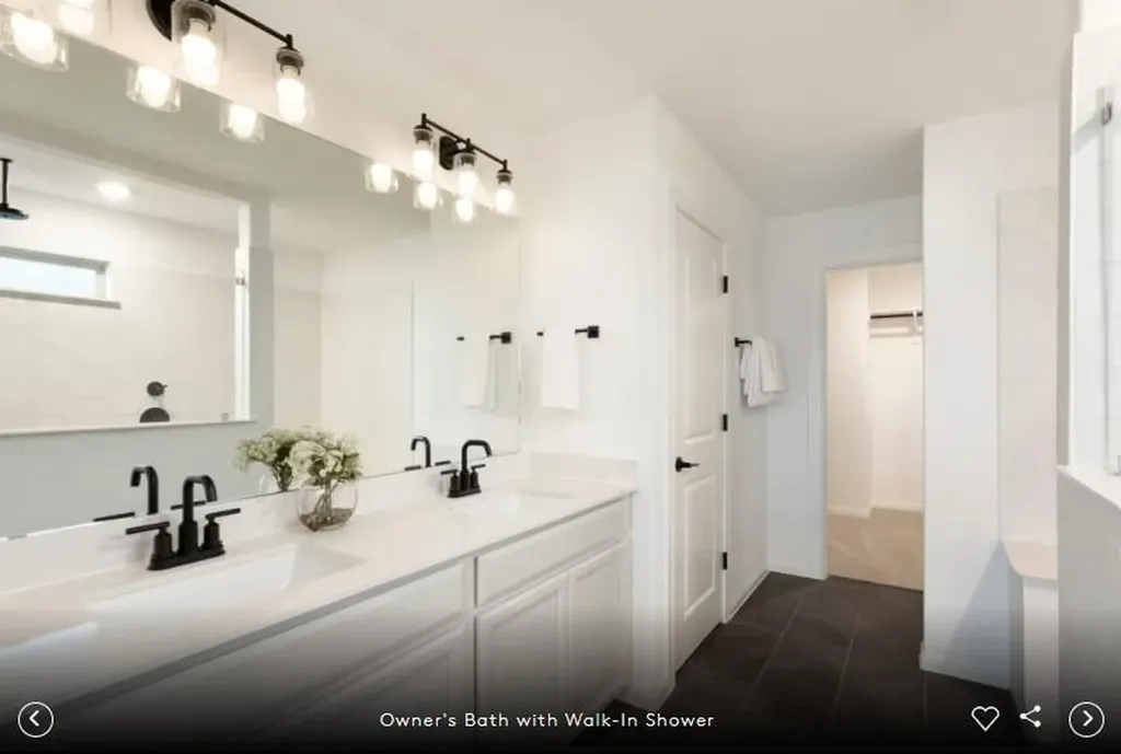 5210 Monarda Mint Drive Austin TX 78653