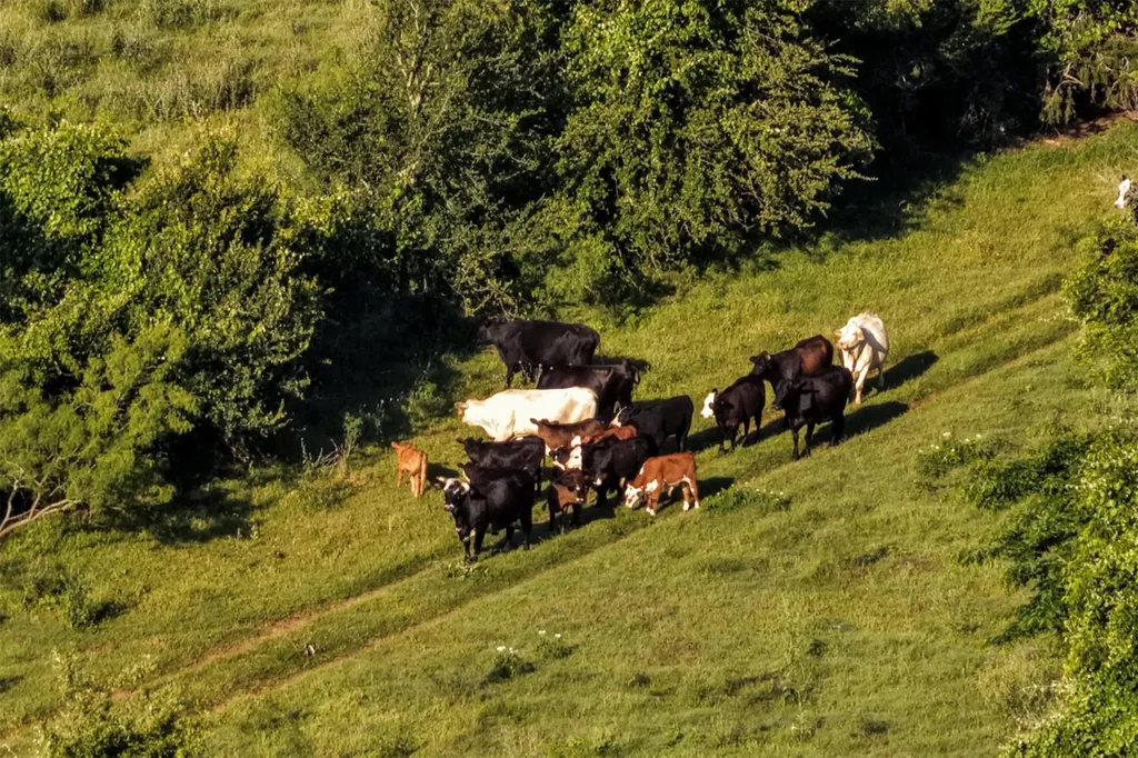0 Straws Mill Road Gatesville TX 76528
