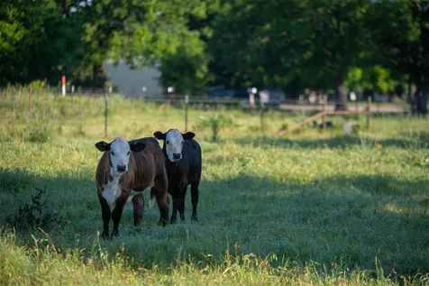 0 Straws Mill Road Gatesville TX 76528