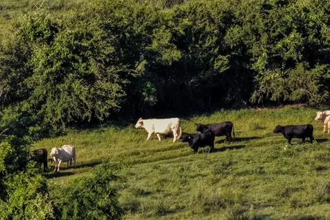 0 Straws Mill Road Gatesville TX 76528