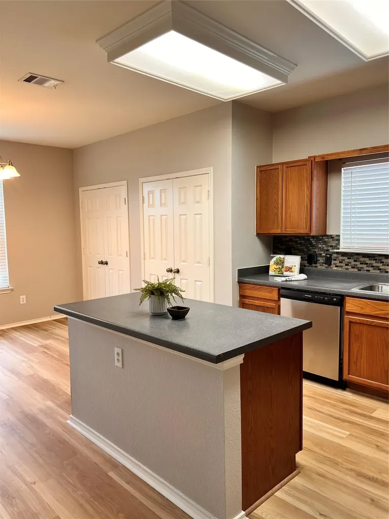 19616 San Chisolm Drive Round Rock TX 78664