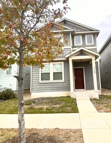1725 Fountain Bridge Drive Leander TX 78641