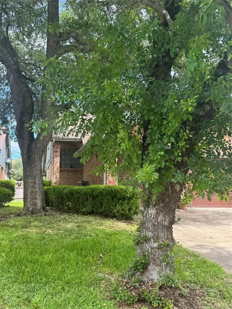 8502 Cima Oak Lane Austin TX 78759
