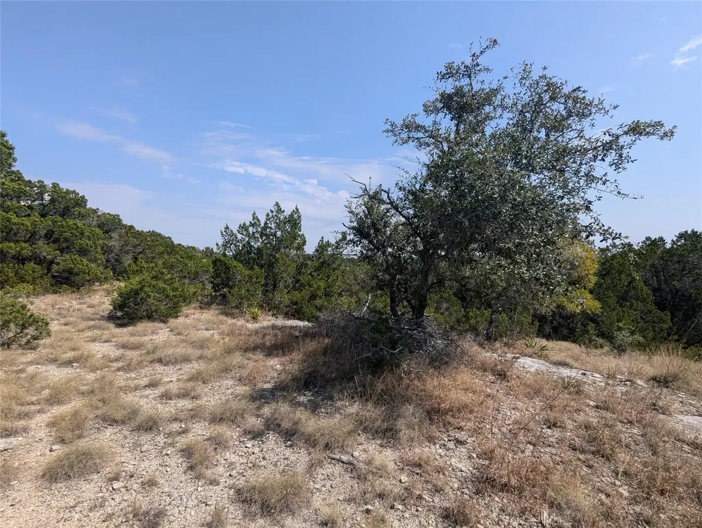 0 Broadwing Cove Austin TX 78737
