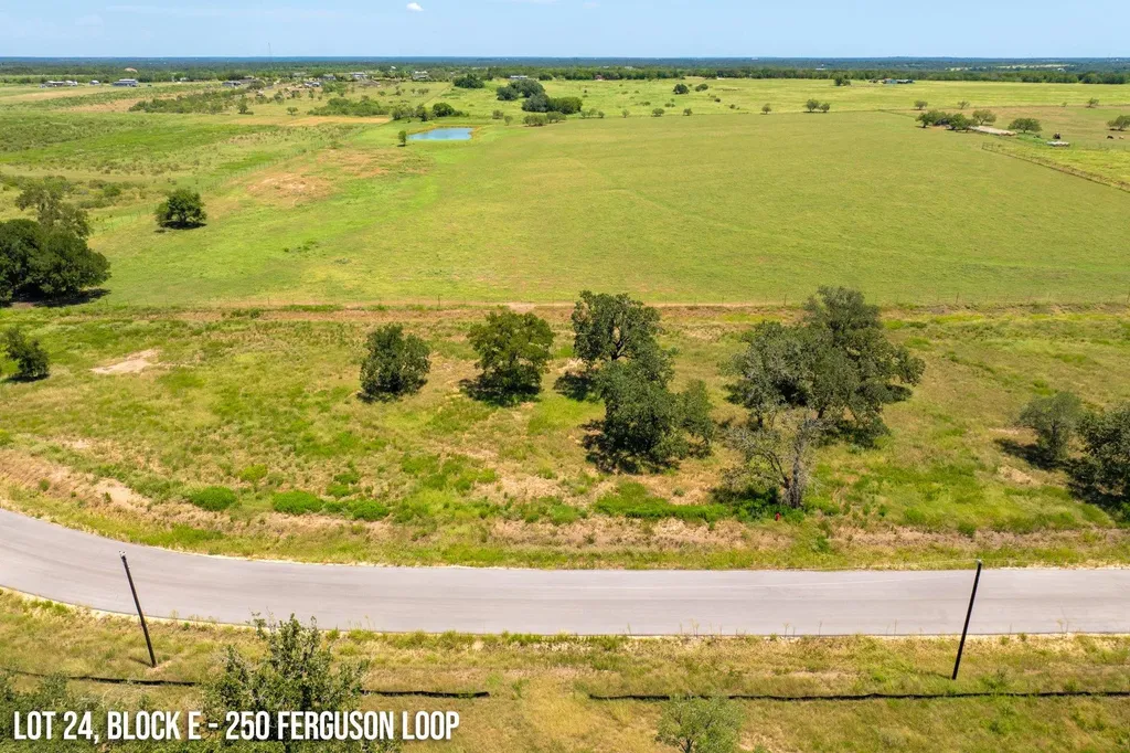 250 Ferguson Loop Dale TX 78616