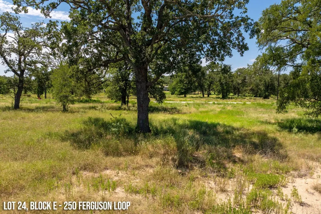 250 Ferguson Loop Dale TX 78616