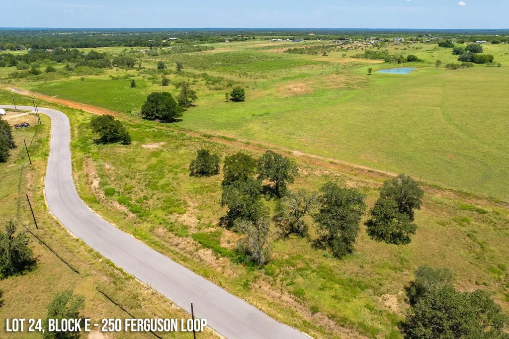 250 Ferguson Loop Dale TX 78616