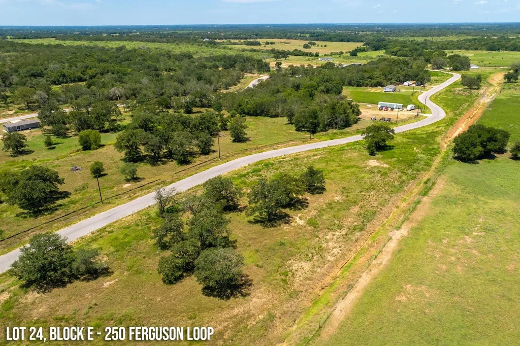 250 Ferguson Loop Dale TX 78616