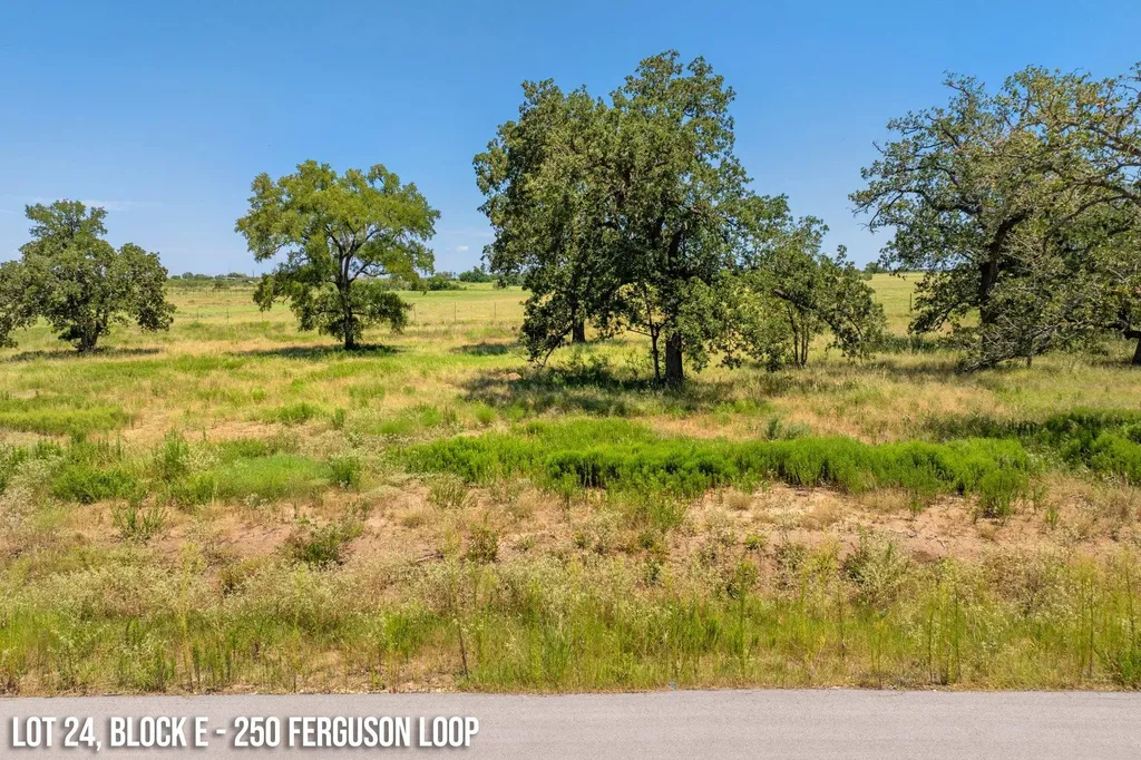 250 Ferguson Loop Dale TX 78616