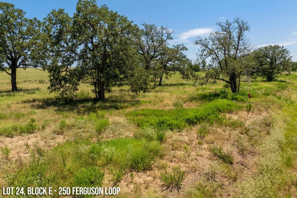250 Ferguson Loop Dale TX 78616