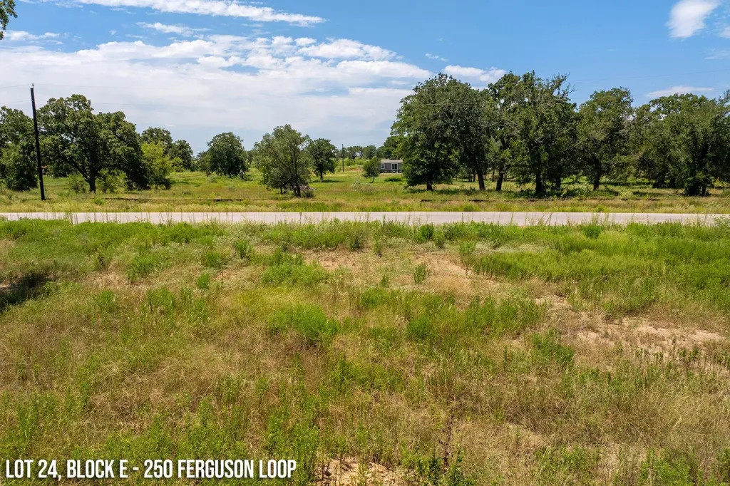 250 Ferguson Loop Dale TX 78616