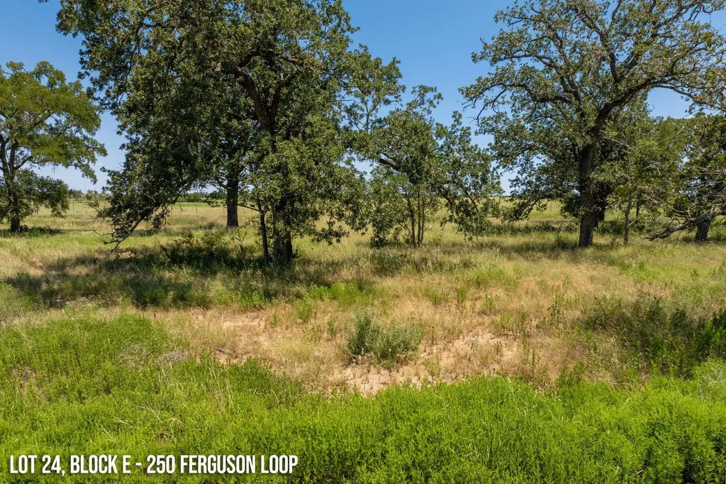 250 Ferguson Loop Dale TX 78616