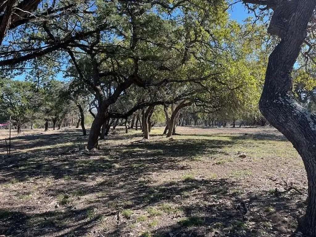 Tbd Old Red Ranch Road Dripping Springs TX 78620
