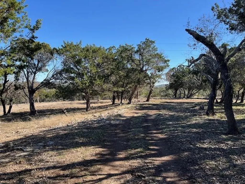 Tbd Old Red Ranch Road Dripping Springs TX 78620