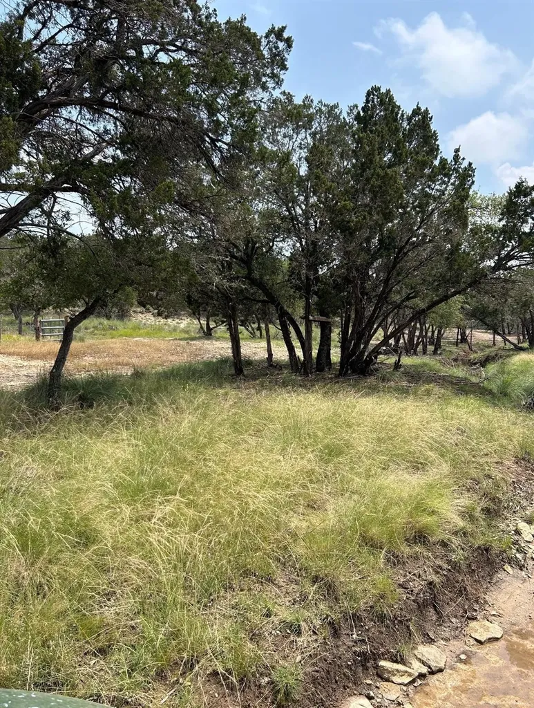 Tbd Old Red Ranch Road Dripping Springs TX 78620